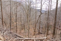 property photo for Blackstone Mountain Tract 27, 13.99 acres for sale in Clay County, Kentucky