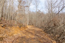 property photo for Blackstone Mountain Tract 27, 13.99 acres for sale in Clay County, Kentucky