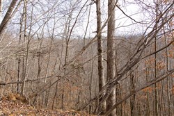 property photo for Blackstone Mountain Tract 27, 13.99 acres for sale in Clay County, Kentucky