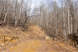 property photo for Blackstone Mountain Tract 27, 13.99 acres for sale in Clay County, Kentucky