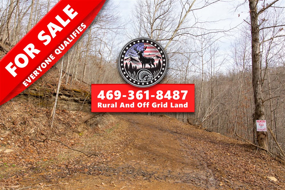 13.99 acre rural land tract for sale at Blackstone Mountain Tract 27 in Clay County, Kentucky