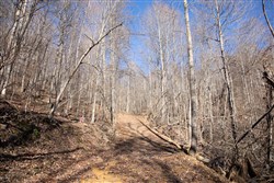 property photo for Blackstone Mountain Tract 48, 13.46 acres for sale in Clay County, Kentucky