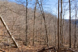 property photo for Blackstone Mountain Tract 48, 13.46 acres for sale in Clay County, Kentucky