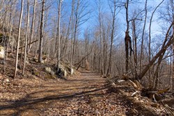 property photo for Blackstone Mountain Tract 48, 13.46 acres for sale in Clay County, Kentucky