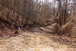 property photo for Blackstone Mountain Phase II Tract 63, 19.42 acres for sale in Clay County, Kentucky