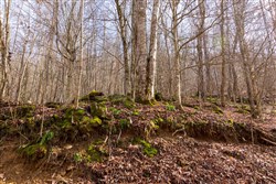 property photo for Blackstone Mountain Phase II Tract 63, 19.42 acres for sale in Clay County, Kentucky