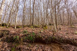 property photo for Blackstone Mountain Phase II Tract 63, 19.42 acres for sale in Clay County, Kentucky