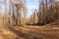 property photo for Blackstone Mountain Phase II Tract 63, 19.42 acres for sale in Clay County, Kentucky