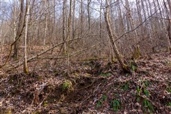 property photo for Blackstone Mountain Phase II Tract 63, 19.42 acres for sale in Clay County, Kentucky
