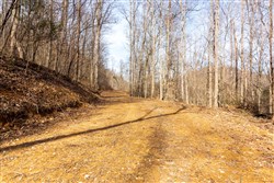 property photo for Blackstone Mountain Phase II Tract 66, 10.23 acres for sale in Clay County, Kentucky