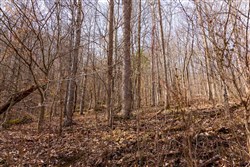 property photo for Blackstone Mountain Phase II Tract 66, 10.23 acres for sale in Clay County, Kentucky