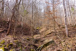 property photo for Blackstone Mountain Phase II Tract 66, 10.23 acres for sale in Clay County, Kentucky