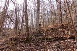 property photo for Blackstone Mountain Phase II Tract 66, 10.23 acres for sale in Clay County, Kentucky