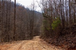 property photo for Blackstone Mountain Phase II Tract 66, 10.23 acres for sale in Clay County, Kentucky