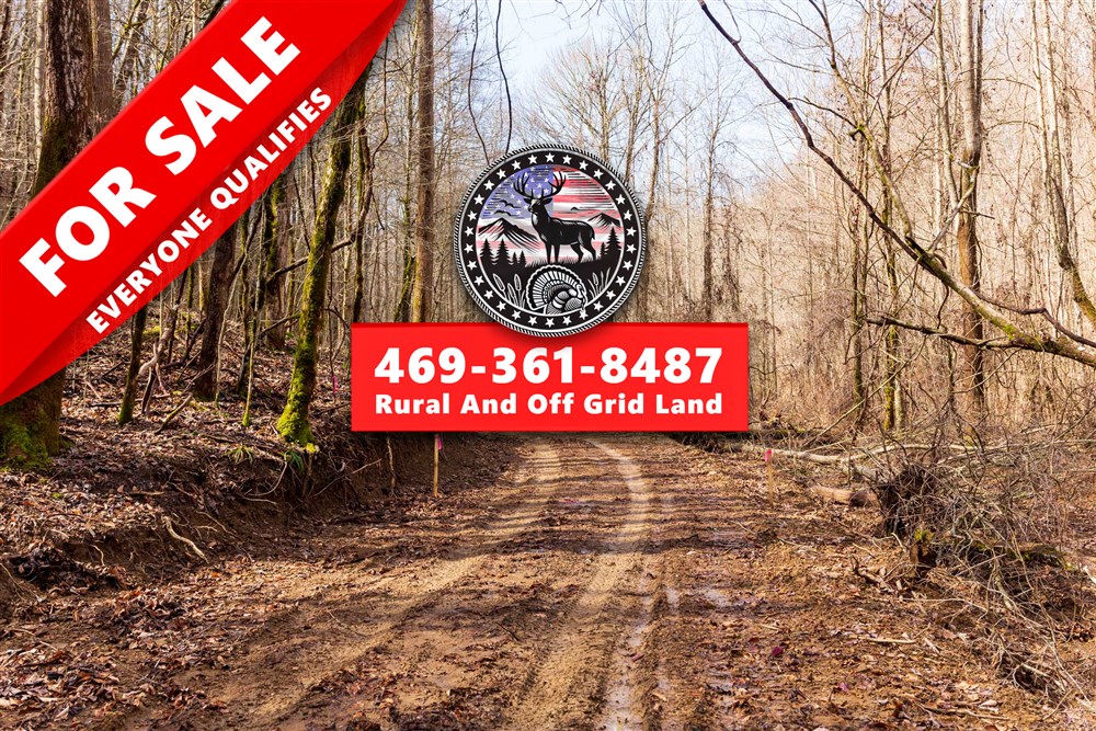 32.4 acre rural land tract for sale at Blackstone Mountain Phase II Tract 71 in Clay County, Kentucky