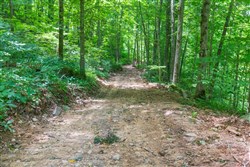 property photo for Rivers Edge Tract 15, 5.07 acres for sale in Jackson County, Kentucky