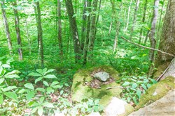 property photo for Rivers Edge Tract 15, 5.07 acres for sale in Jackson County, Kentucky