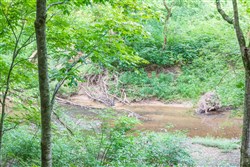 property photo for Rivers Edge Tract 4, 1.63 acres for sale in Jackson County, Kentucky