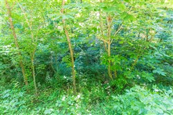 property photo for Rivers Edge Tract 4, 1.63 acres for sale in Jackson County, Kentucky