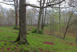 property photo for Serenity Creek Tract 18, 7.51 acres for sale in Laurel County, Kentucky