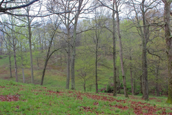 property photo for Serenity Creek Tract 18, 7.51 acres for sale in Laurel County, Kentucky