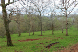 property photo for Serenity Creek Tract 18, 7.51 acres for sale in Laurel County, Kentucky