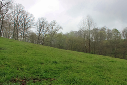property photo for Serenity Creek Tract 18, 7.51 acres for sale in Laurel County, Kentucky