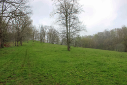 property photo for Serenity Creek Tract 18, 7.51 acres for sale in Laurel County, Kentucky
