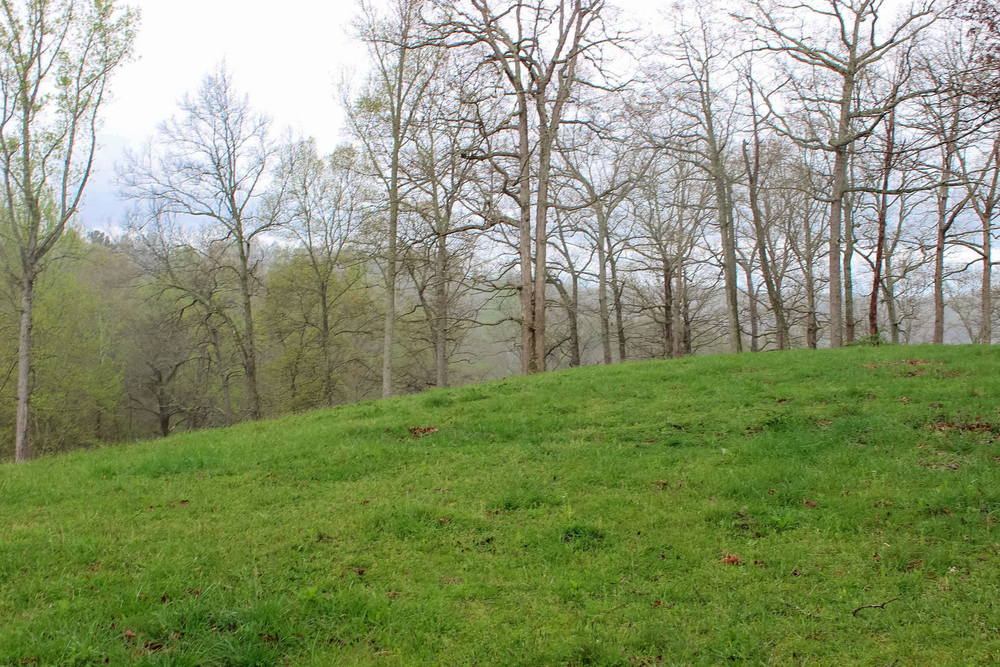7.51 acre rural land tract for sale at Serenity Creek Tract 18 in Laurel County, Kentucky