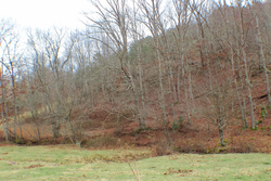 property photo for Serenity Creek Tract 4, 10.31 acres for sale in Laurel County, Kentucky