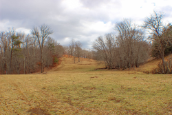 property photo for Serenity Creek Tract 4, 10.31 acres for sale in Laurel County, Kentucky