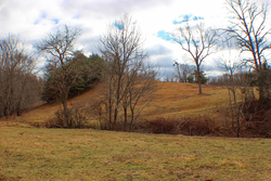 property photo for Serenity Creek Tract 4, 10.31 acres for sale in Laurel County, Kentucky