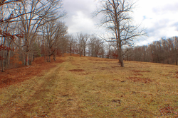 property photo for Serenity Creek Tract 4, 10.31 acres for sale in Laurel County, Kentucky