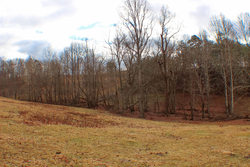 property photo for Serenity Creek Tract 4, 10.31 acres for sale in Laurel County, Kentucky