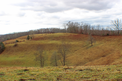 property photo for Serenity Creek Tract 4, 10.31 acres for sale in Laurel County, Kentucky