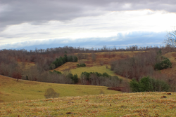 property photo for Serenity Creek Tract 4, 10.31 acres for sale in Laurel County, Kentucky