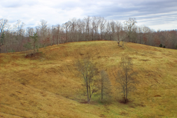 property photo for Serenity Creek Tract 4, 10.31 acres for sale in Laurel County, Kentucky