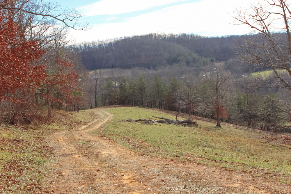10.31 acre rural land tract for sale at Serenity Creek Tract 4 in Laurel County, Kentucky