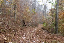 property photo for Autumn Ridge Tract 17, 10.06 acres for sale in Leslie County, Kentucky