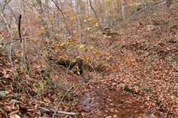 property photo for Autumn Ridge Tract 17, 10.06 acres for sale in Leslie County, Kentucky