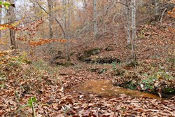 property photo for Autumn Ridge Tract 17, 10.06 acres for sale in Leslie County, Kentucky