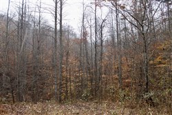 property photo for Autumn Ridge Tract 17, 10.06 acres for sale in Leslie County, Kentucky