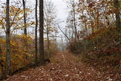 property photo for Autumn Ridge Tract 17, 10.06 acres for sale in Leslie County, Kentucky