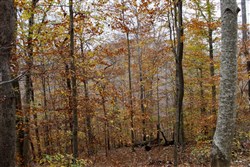 property photo for Autumn Ridge Tract 17, 10.06 acres for sale in Leslie County, Kentucky