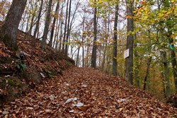 property photo for Autumn Ridge Tract 20, 10.86 acres for sale in Leslie County, Kentucky
