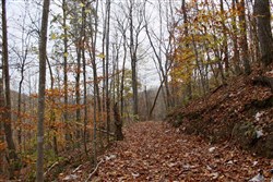 property photo for Autumn Ridge Tract 20, 10.86 acres for sale in Leslie County, Kentucky