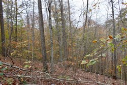 property photo for Autumn Ridge Tract 20, 10.86 acres for sale in Leslie County, Kentucky