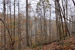 property photo for Autumn Ridge Tract 20, 10.86 acres for sale in Leslie County, Kentucky