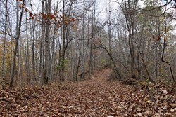 property photo for Autumn Ridge Tract 22, 6 acres for sale in Leslie County, Kentucky