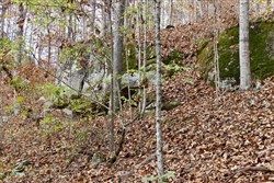property photo for Autumn Ridge Tract 22, 6 acres for sale in Leslie County, Kentucky
